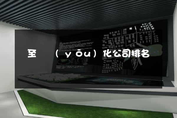 東至縣優(yōu)化公司排名