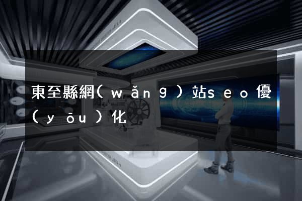 東至縣網(wǎng)站seo優(yōu)化