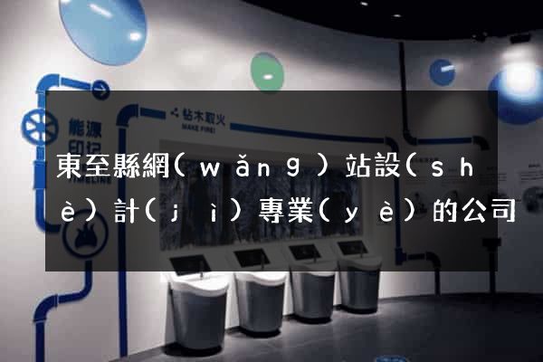 東至縣網(wǎng)站設(shè)計(jì)專業(yè)的公司