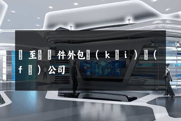 東至縣軟件外包開(kāi)發(fā)公司