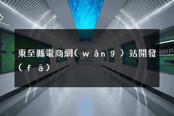 東至縣電商網(wǎng)站開發(fā)