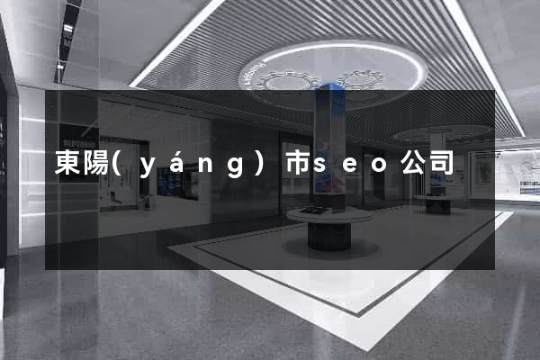 東陽(yáng)市seo公司