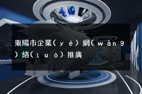 東陽市企業(yè)網(wǎng)絡(luò)推廣