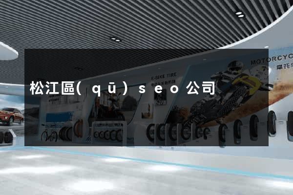 松江區(qū)seo公司