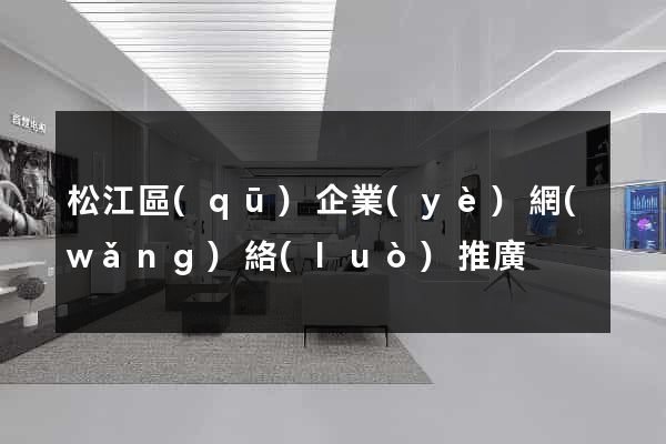 松江區(qū)企業(yè)網(wǎng)絡(luò)推廣