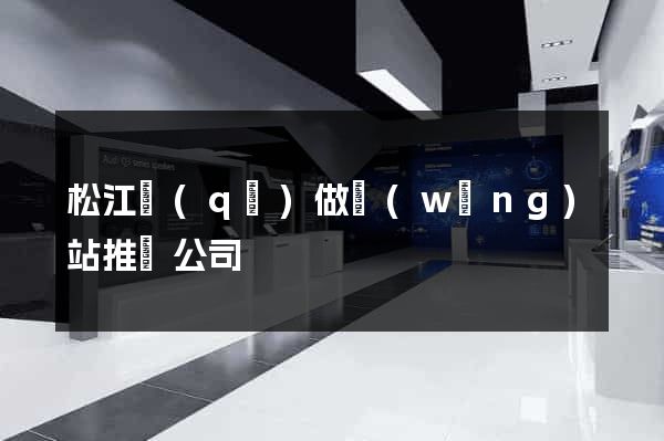 松江區(qū)做網(wǎng)站推廣公司