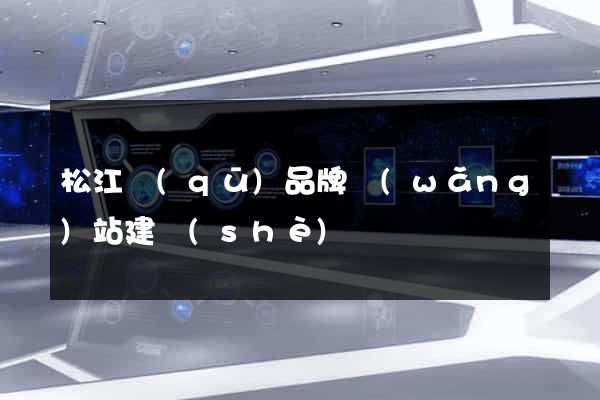 松江區(qū)品牌網(wǎng)站建設(shè)