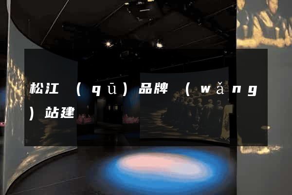 松江區(qū)品牌網(wǎng)站建設