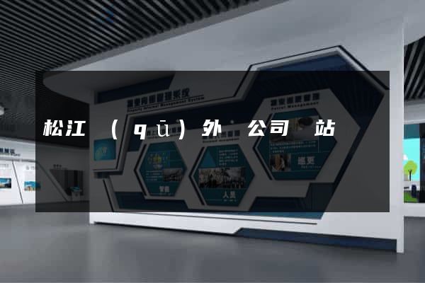 松江區(qū)外貿公司網站