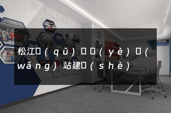 松江區(qū)專業(yè)網(wǎng)站建設(shè)