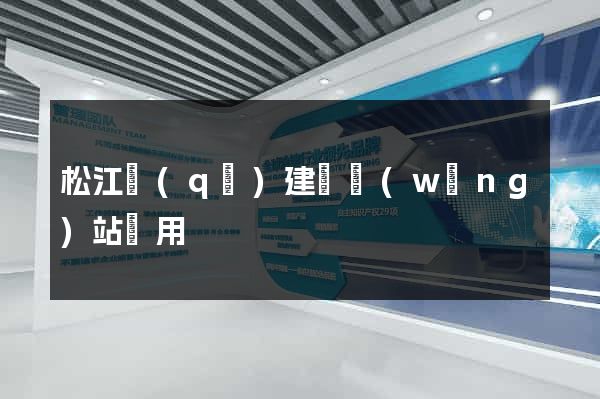 松江區(qū)建個網(wǎng)站費用
