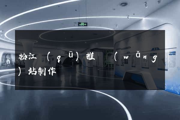 松江區(qū)推廣網(wǎng)站制作
