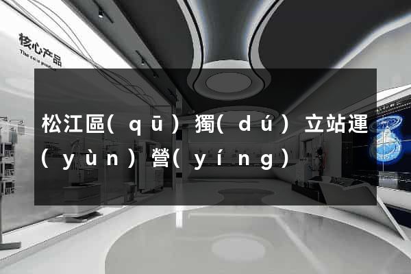 松江區(qū)獨(dú)立站運(yùn)營(yíng)