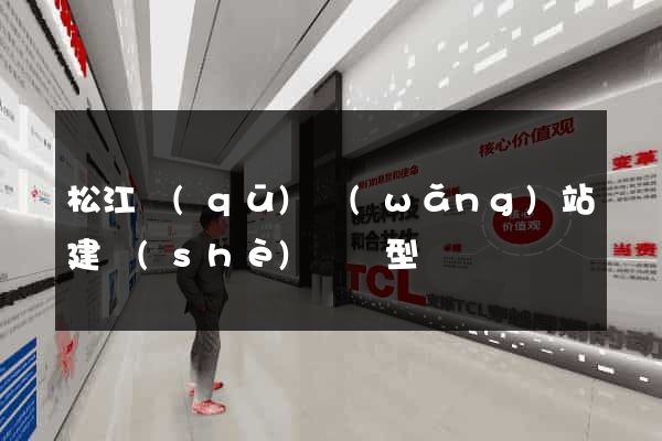 松江區(qū)網(wǎng)站建設(shè)營銷型