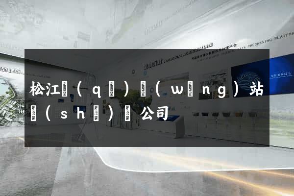松江區(qū)網(wǎng)站設(shè)計公司