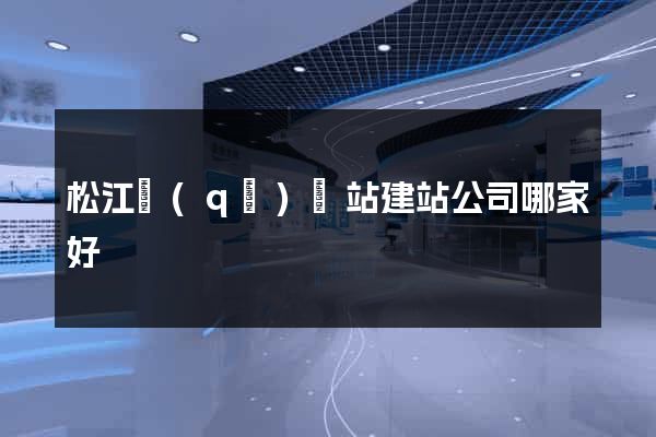 松江區(qū)網站建站公司哪家好