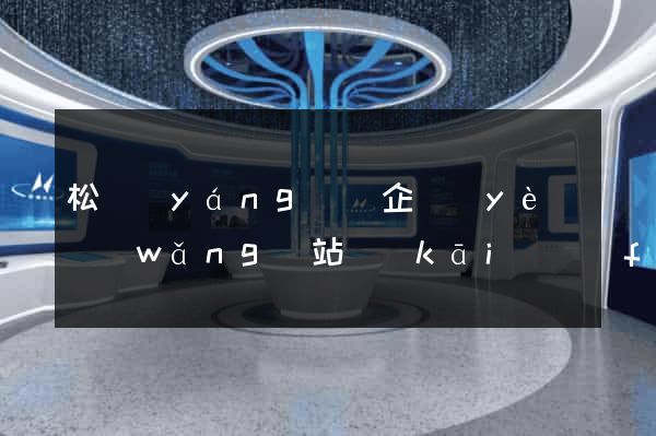 松陽(yáng)縣企業(yè)網(wǎng)站開(kāi)發(fā)