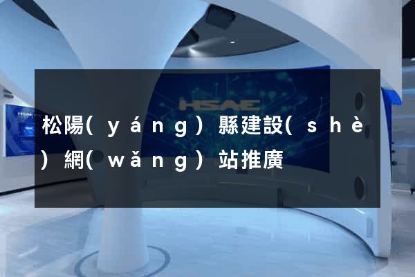 松陽(yáng)縣建設(shè)網(wǎng)站推廣