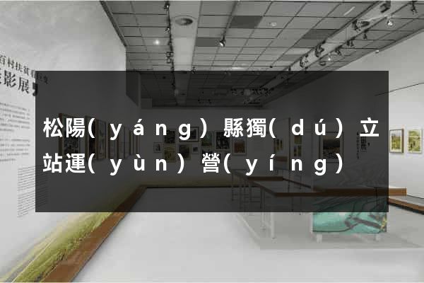 松陽(yáng)縣獨(dú)立站運(yùn)營(yíng)