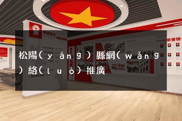 松陽(yáng)縣網(wǎng)絡(luò)推廣