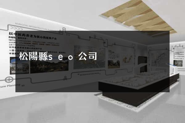 松陽縣seo公司
