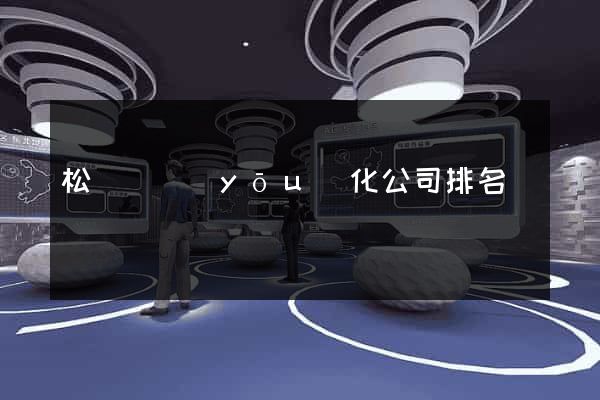 松陽縣優(yōu)化公司排名