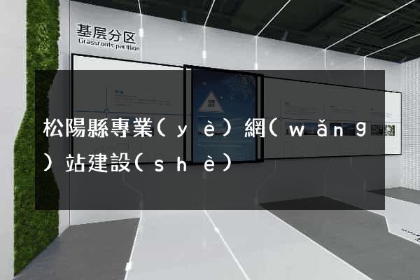 松陽縣專業(yè)網(wǎng)站建設(shè)
