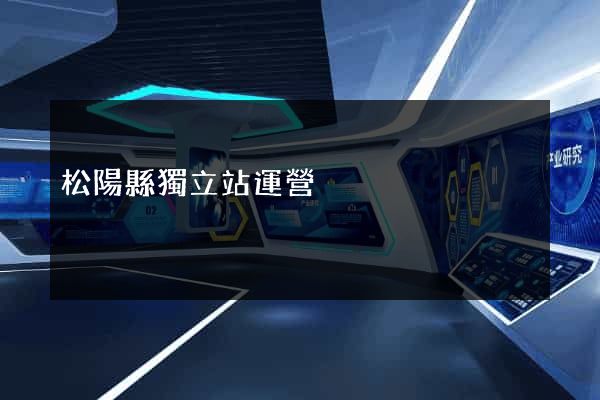 松陽縣獨立站運營