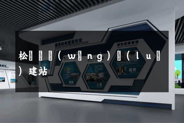 松陽縣網(wǎng)絡(luò)建站