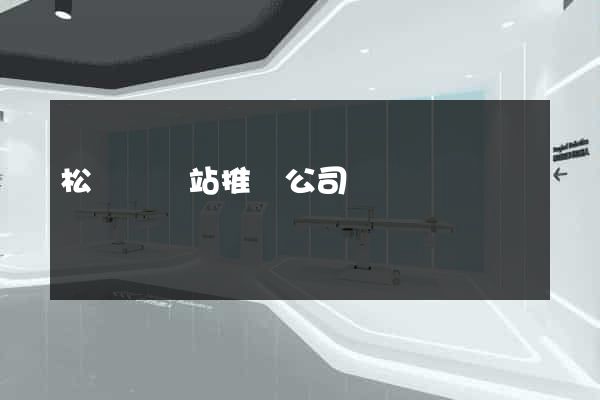 松陽縣網站推廣公司