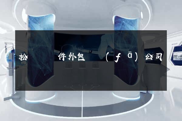 松陽縣軟件外包開發(fā)公司