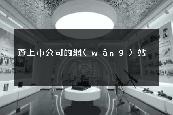 查上市公司的網(wǎng)站