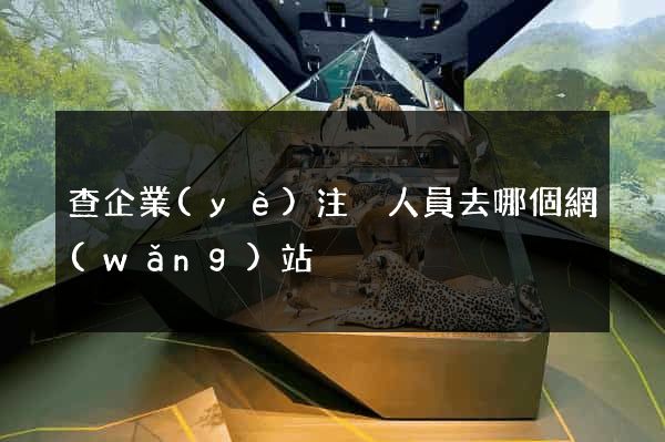 查企業(yè)注冊人員去哪個網(wǎng)站