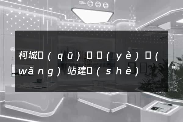 柯城區(qū)專業(yè)網(wǎng)站建設(shè)