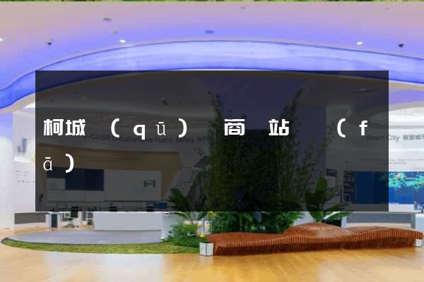 柯城區(qū)電商網站開發(fā)