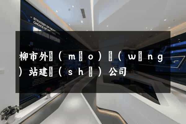 柳市外貿(mào)網(wǎng)站建設(shè)公司