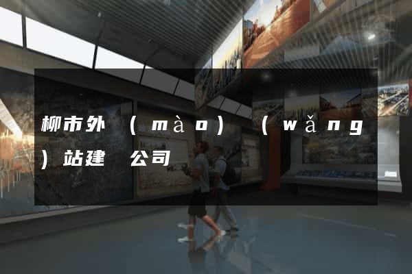 柳市外貿(mào)網(wǎng)站建設公司