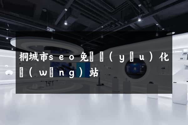 桐城市seo免費優(yōu)化網(wǎng)站