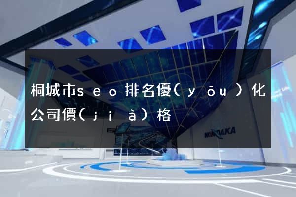 桐城市seo排名優(yōu)化公司價(jià)格