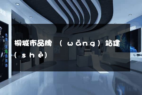 桐城市品牌網(wǎng)站建設(shè)