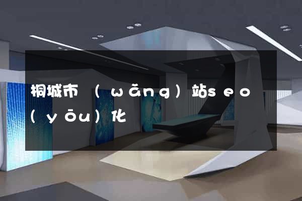 桐城市網(wǎng)站seo優(yōu)化