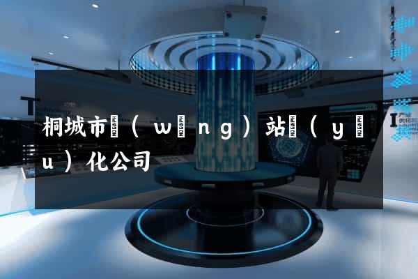 桐城市網(wǎng)站優(yōu)化公司