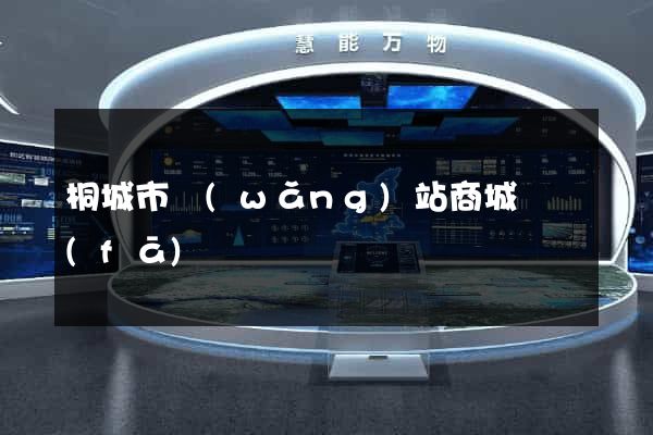 桐城市網(wǎng)站商城開發(fā)