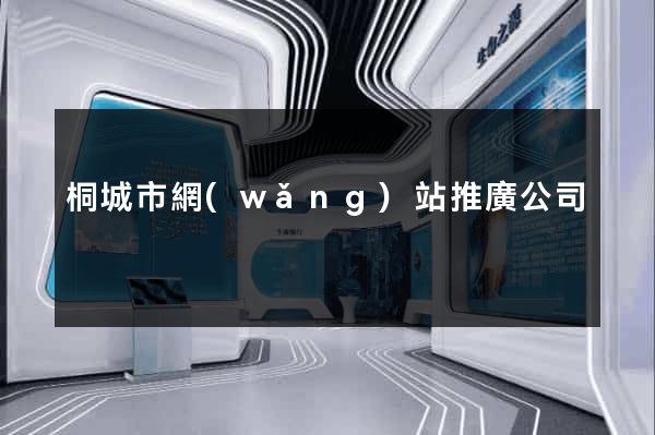 桐城市網(wǎng)站推廣公司