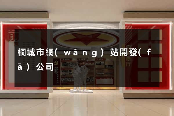 桐城市網(wǎng)站開發(fā)公司