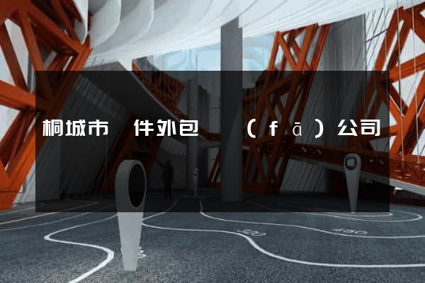 桐城市軟件外包開發(fā)公司