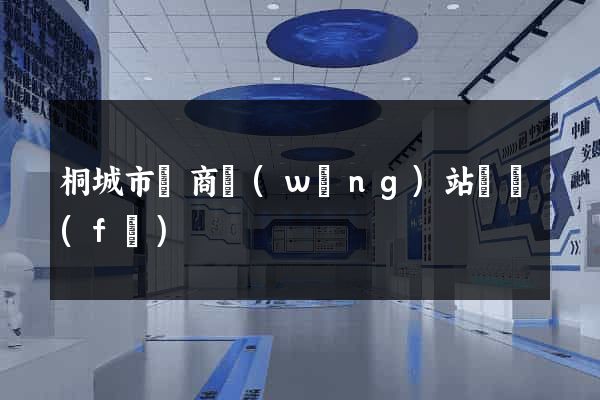 桐城市電商網(wǎng)站開發(fā)