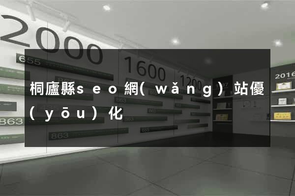 桐廬縣seo網(wǎng)站優(yōu)化