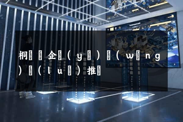 桐廬縣企業(yè)網(wǎng)絡(luò)推廣