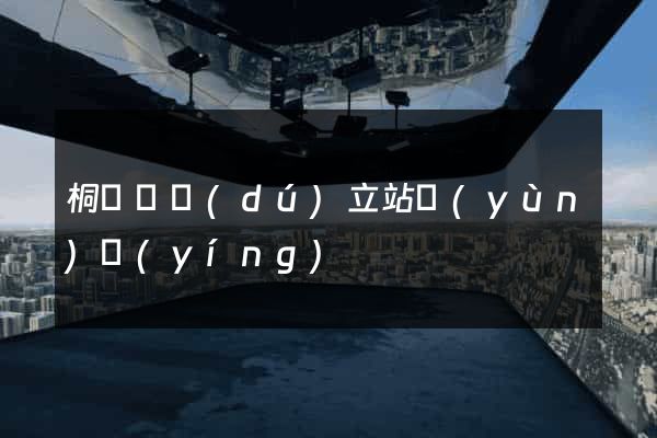 桐廬縣獨(dú)立站運(yùn)營(yíng)